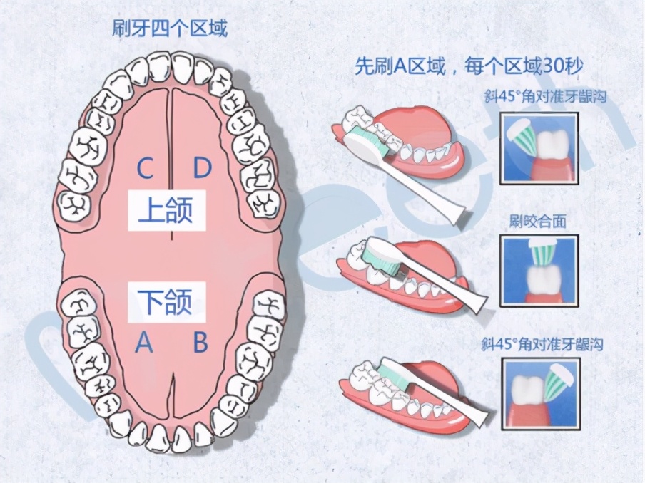电动牙刷正确使用方法小孩12岁,电动牙刷正确使用方法怎么关电源