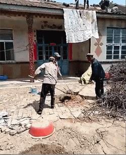 搞笑小萝莉图片,搞笑版小萝莉