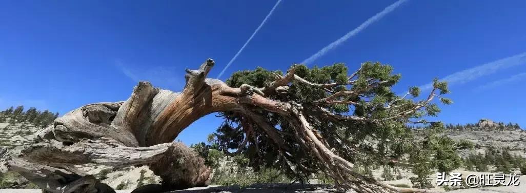 尼康d610值不值得买,尼康d610配24-120mmf4g效果怎样