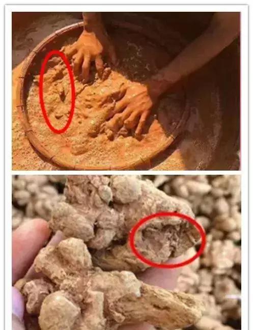 优质三七怎么辨别,辨别三七真假视频