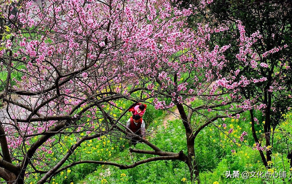 李白互相矛盾的古诗有哪些,李白理想与现实矛盾的诗作