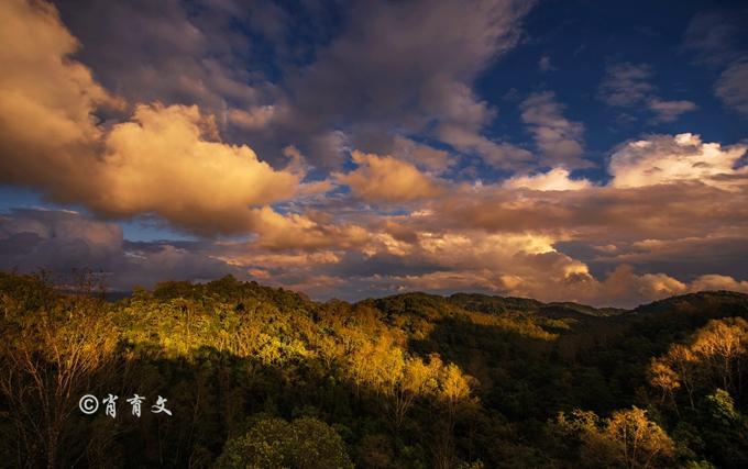 水牛身上画画,水牛身上画了牛郎织女画面