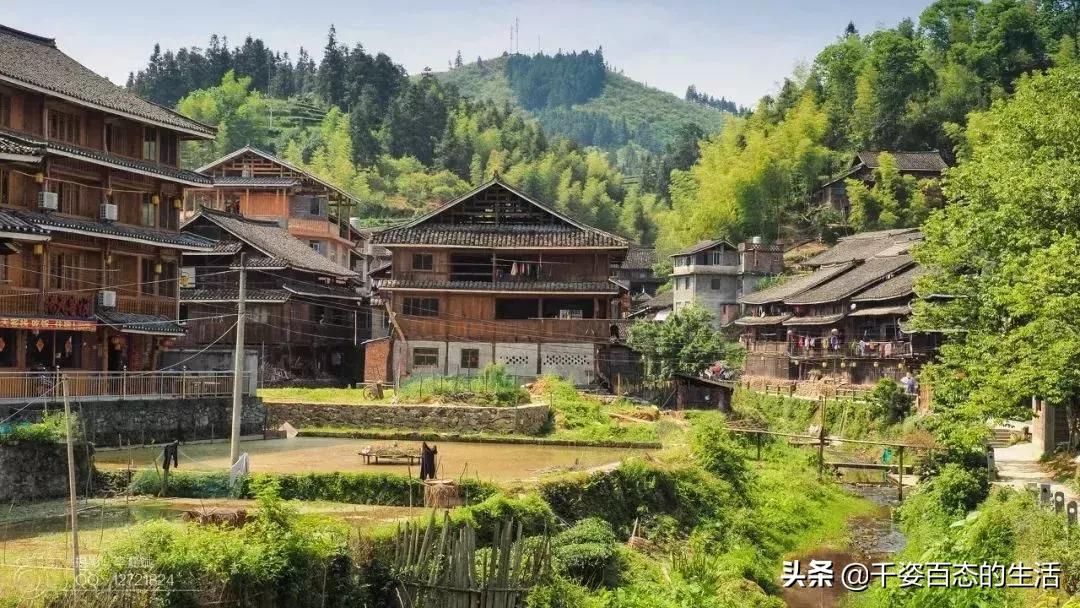 广西低调小城竟然藏了个小奈良,广西有座低调的养老小城