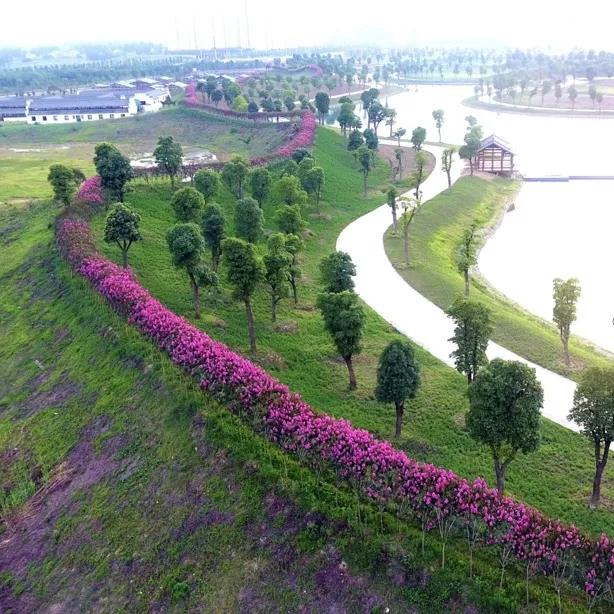 蚌埠城南新建不夜城,引爆旅游市场