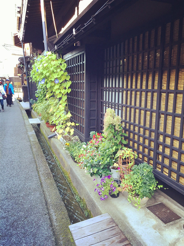 五天三晚之邂逅名古屋，新奇的日本之旅