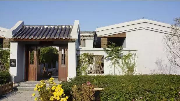 冬天手脚冷适合喝什么茶,冬天手脚冰凉适合什么茶