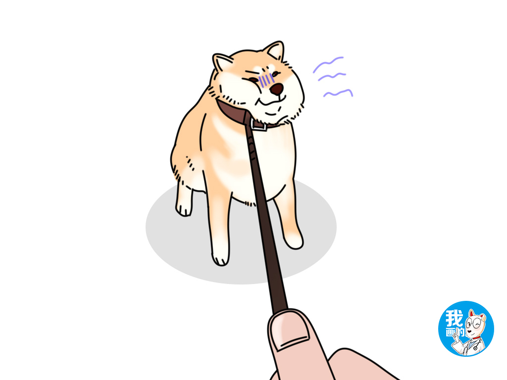 狗狗憋尿时间最好不超过多久,狗狗一直憋尿有危害吗