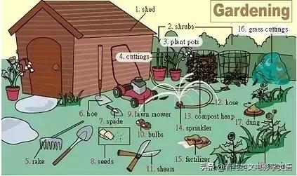 36张图让孩子记住所有英语,超实用的英语词汇图英语学习必备