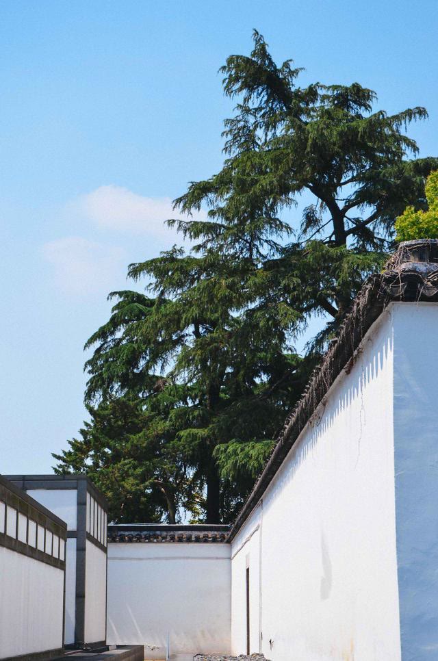 苏州博物馆贝聿铭设计,苏州博物馆和贝聿铭博物馆