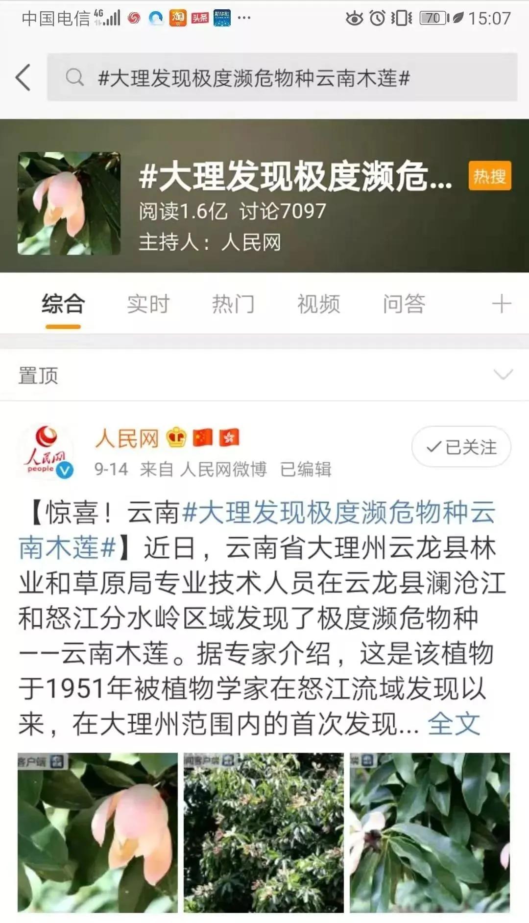 大理云龙上央视啦！这次因为漾濞槭