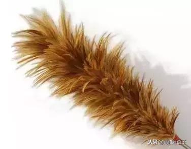 j姐的鞋,j姐的高跟鞋