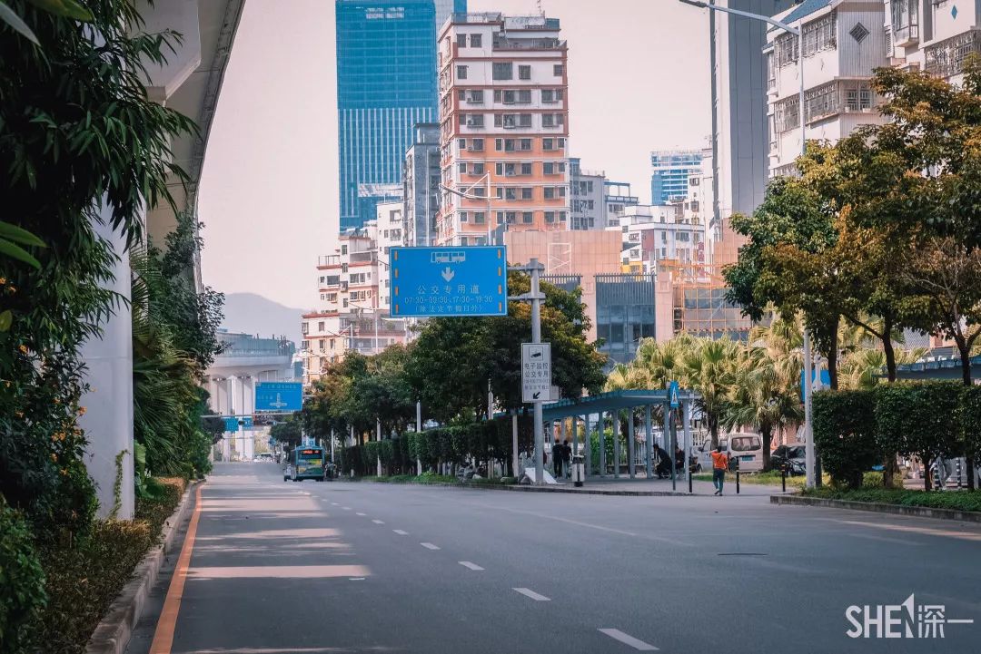 广东白石龙村,深圳白石龙村现状