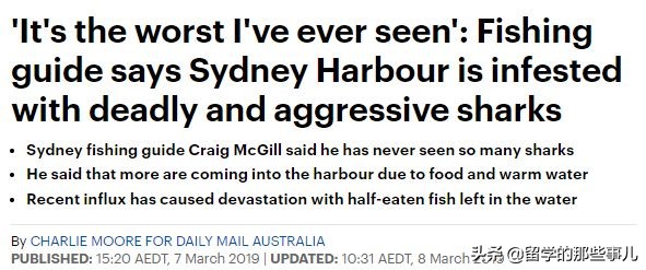 在海里遇到鲨鱼怎么才可以逃生,在海里碰到鲨鱼怎么办