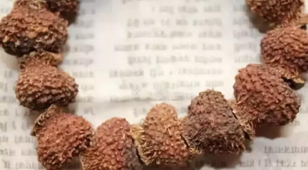 最全的菩提子图解太美了,最好的菩提子