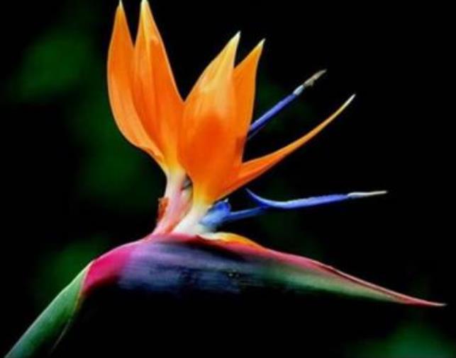 做人处事如何把握好度,怎样做人才能混得好