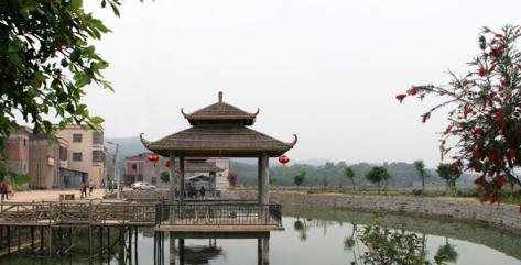 洋垃圾性能很差吗,洋垃圾生存之道