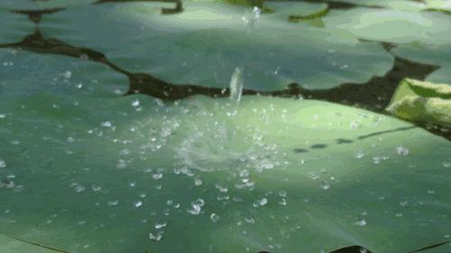 重磅polo衫透气,polo衫好看又凉爽