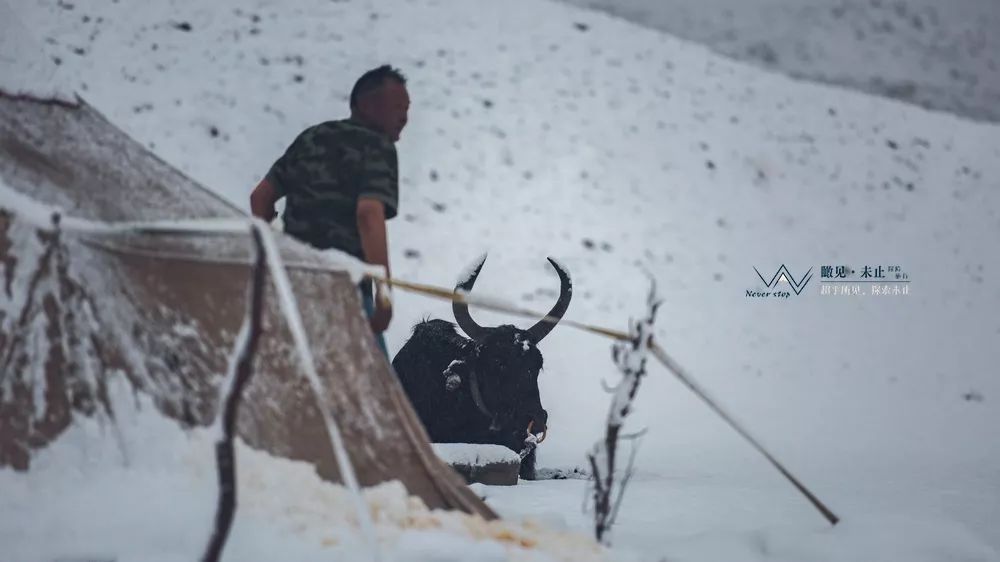 高山低谷的感悟,高山之巅的感悟