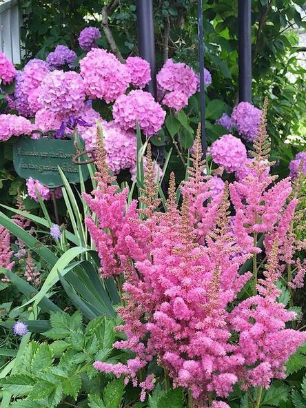 全封闭的院落适合养花吗,家庭小院养花技巧