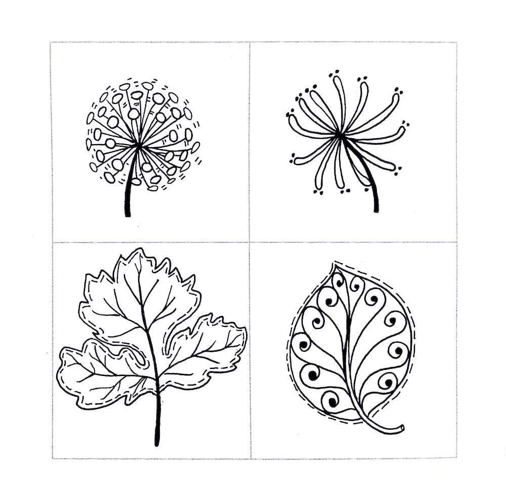 简笔画植物手抄报,手抄报植物简笔画