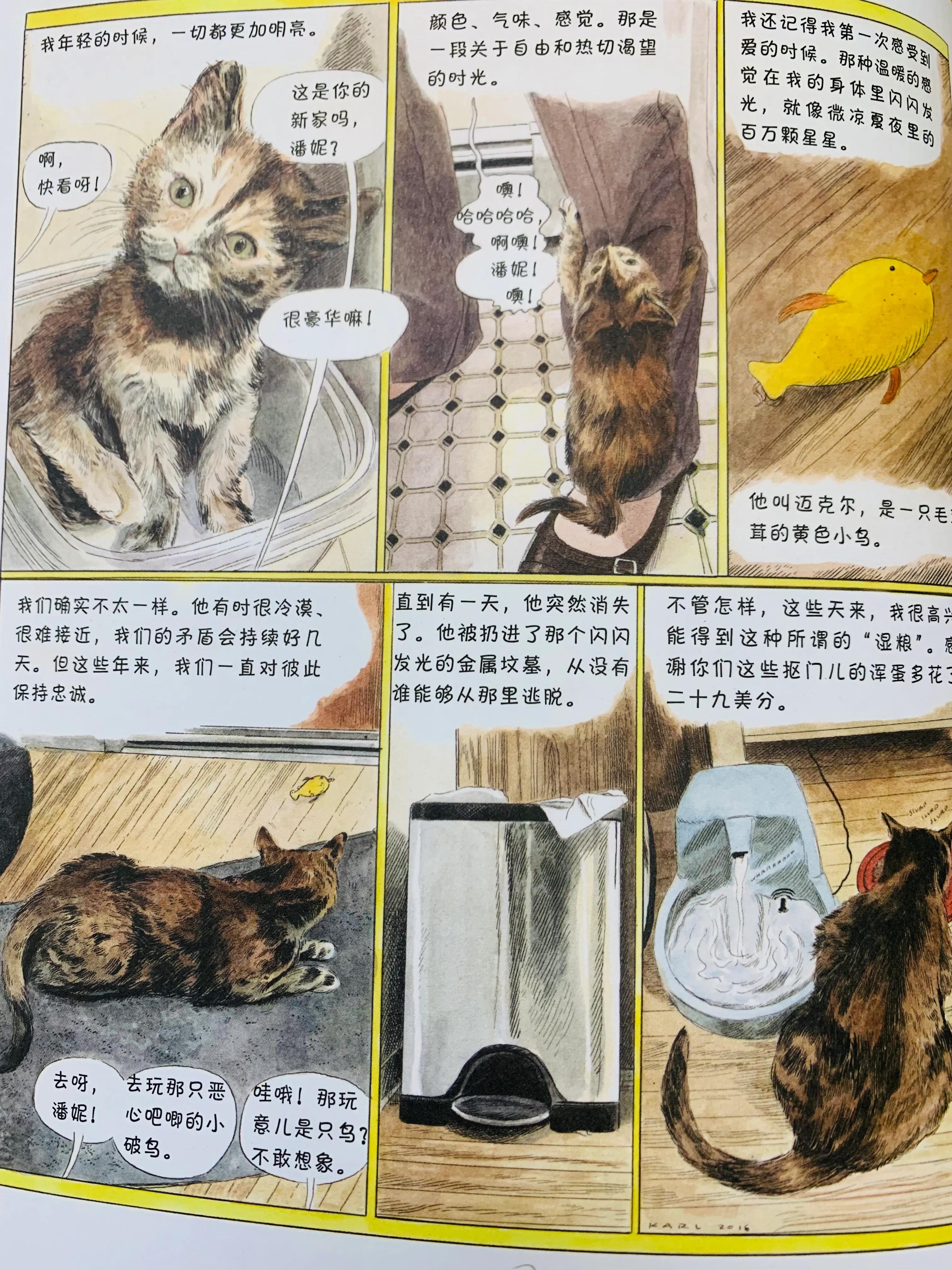 猫咪漫画治愈系短片,猫咪的搞笑漫画