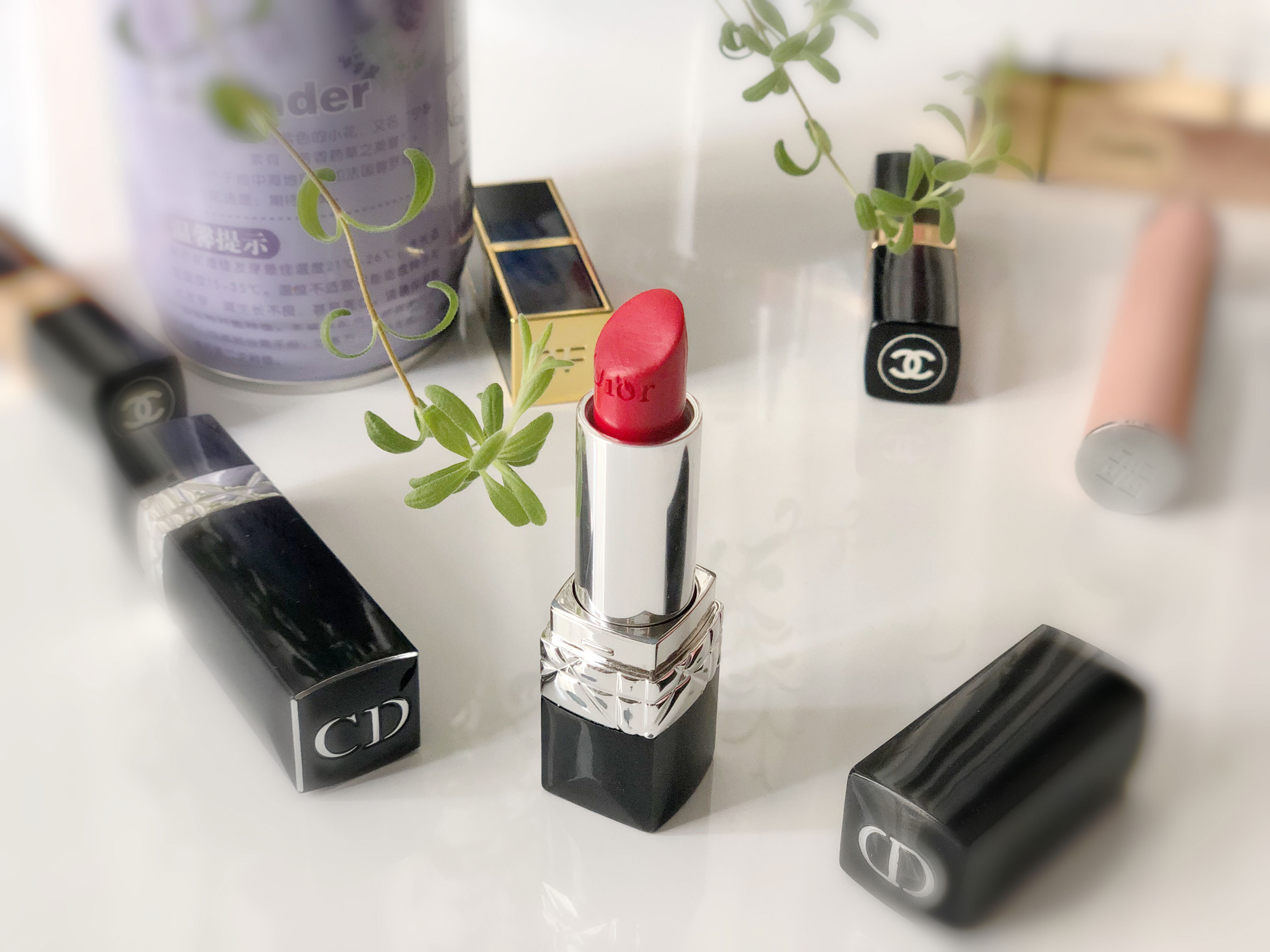 你可以没有爱情但不可以没有面包,可以没有爱情不能没有口红和香水