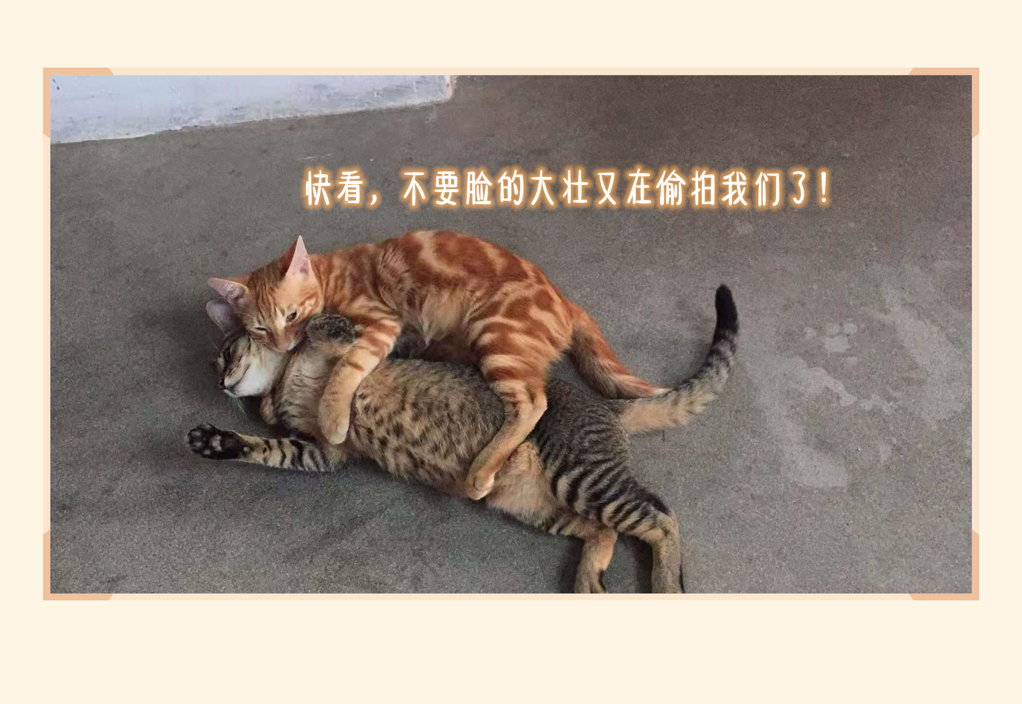 韩国十大最好吃的零食,韩国好吃的零食排行榜前十名