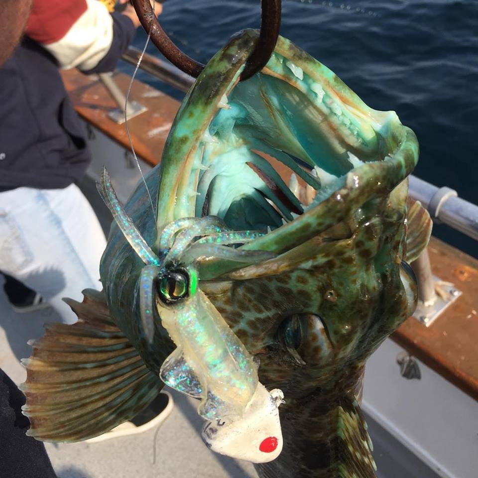 海钓超级刺激,海钓极限钓鱼