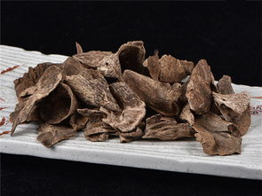 沉香屑第二炉香解读,沉香屑第二炉香原文