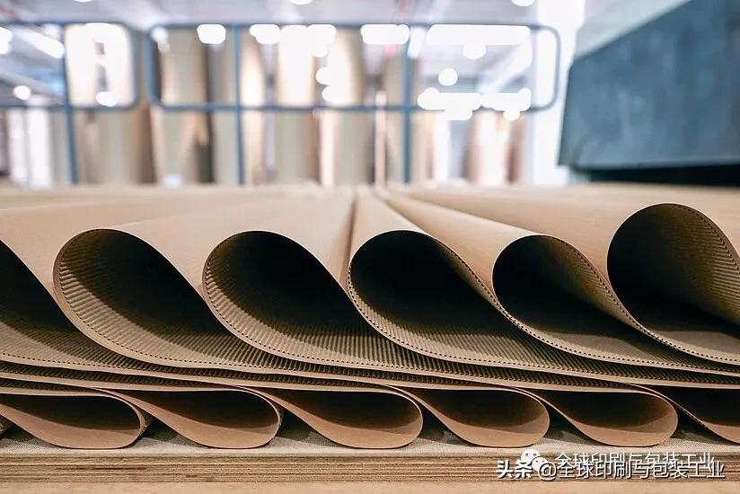 全球原材料价格飙升，这个印度洋岛国纸箱行业遭遇重创