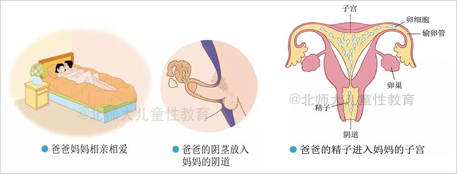 为什么要普及性教育,为什么要给孩子普及性教育