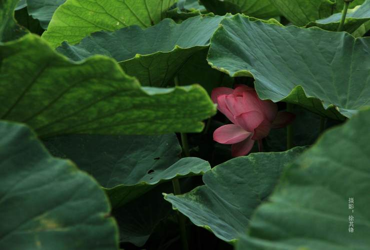 建水见山水库,建水见水民宿