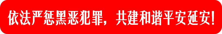 陕西省延安市制药企业,延安制药有哪些产品