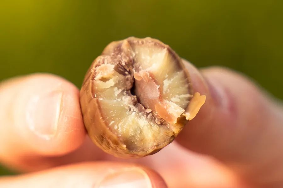 李佳琦零食直播间,李佳琦直播间零食