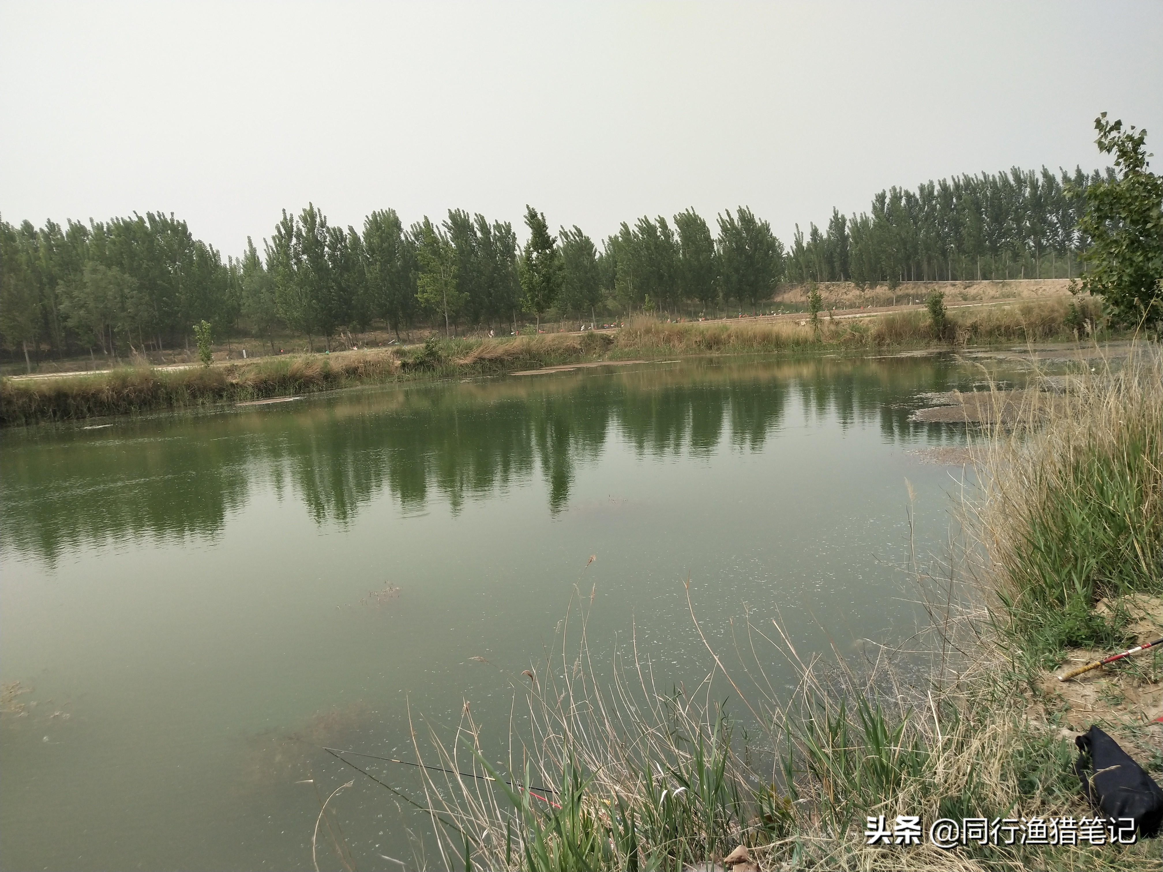 看不到鱼口却中鱼怎么解决,早上傍晚鱼不开口怎么回事