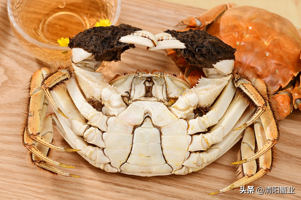 是公蟹的蟹膏多还是母蟹的蟹膏多,蟹膏是公蟹还是母蟹科普