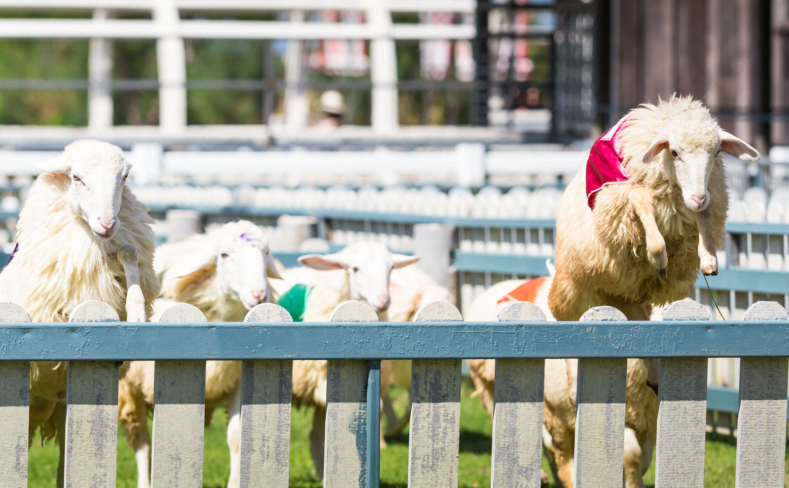 泰国华欣海边度假图片,曼谷后花园华欣