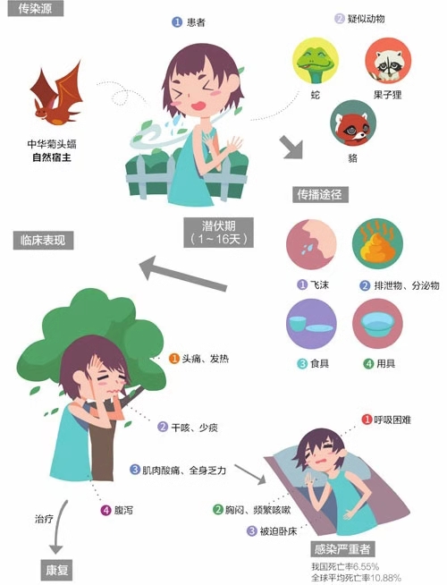 新冠病毒的前世今生及预防,揭秘新冠病毒的源头的视频