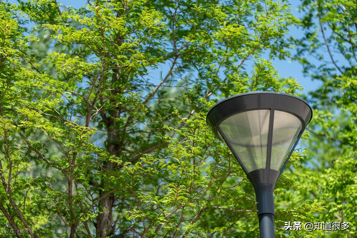大连的一流大学,大连哪几所高校最好