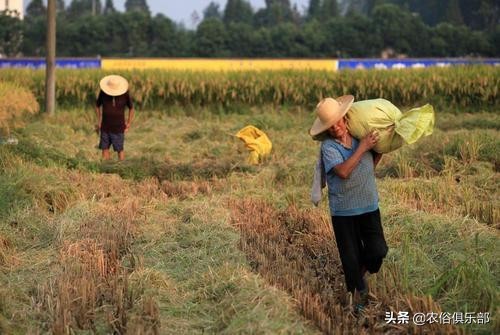 俗语雨打棺雨打坟,关于雨打棺的说法