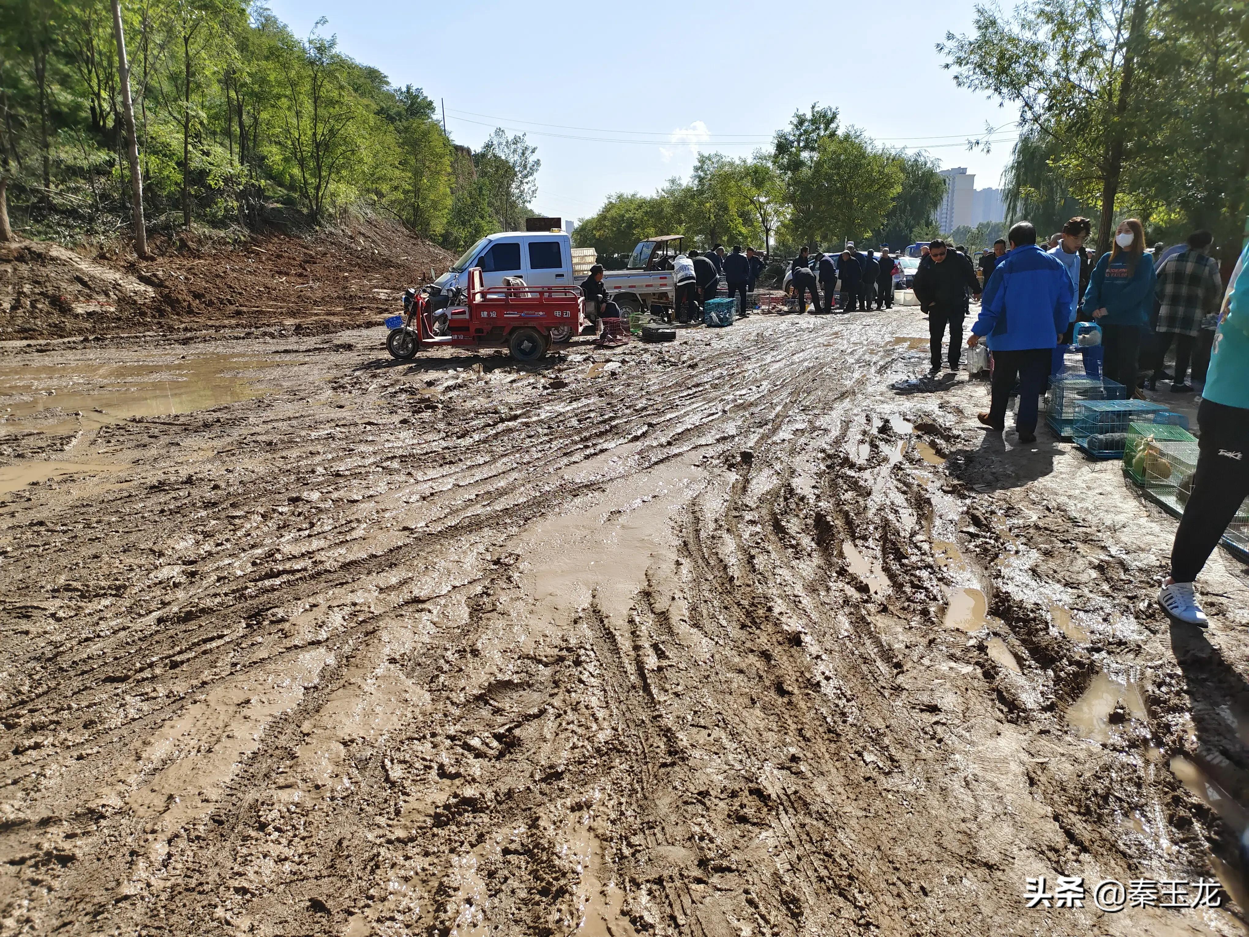 狗市，市井文化的洼地