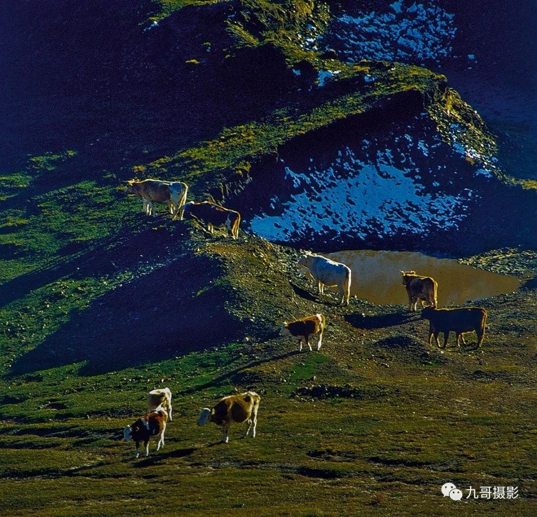 大美坝上草原全景,大美坝上风光系列之一