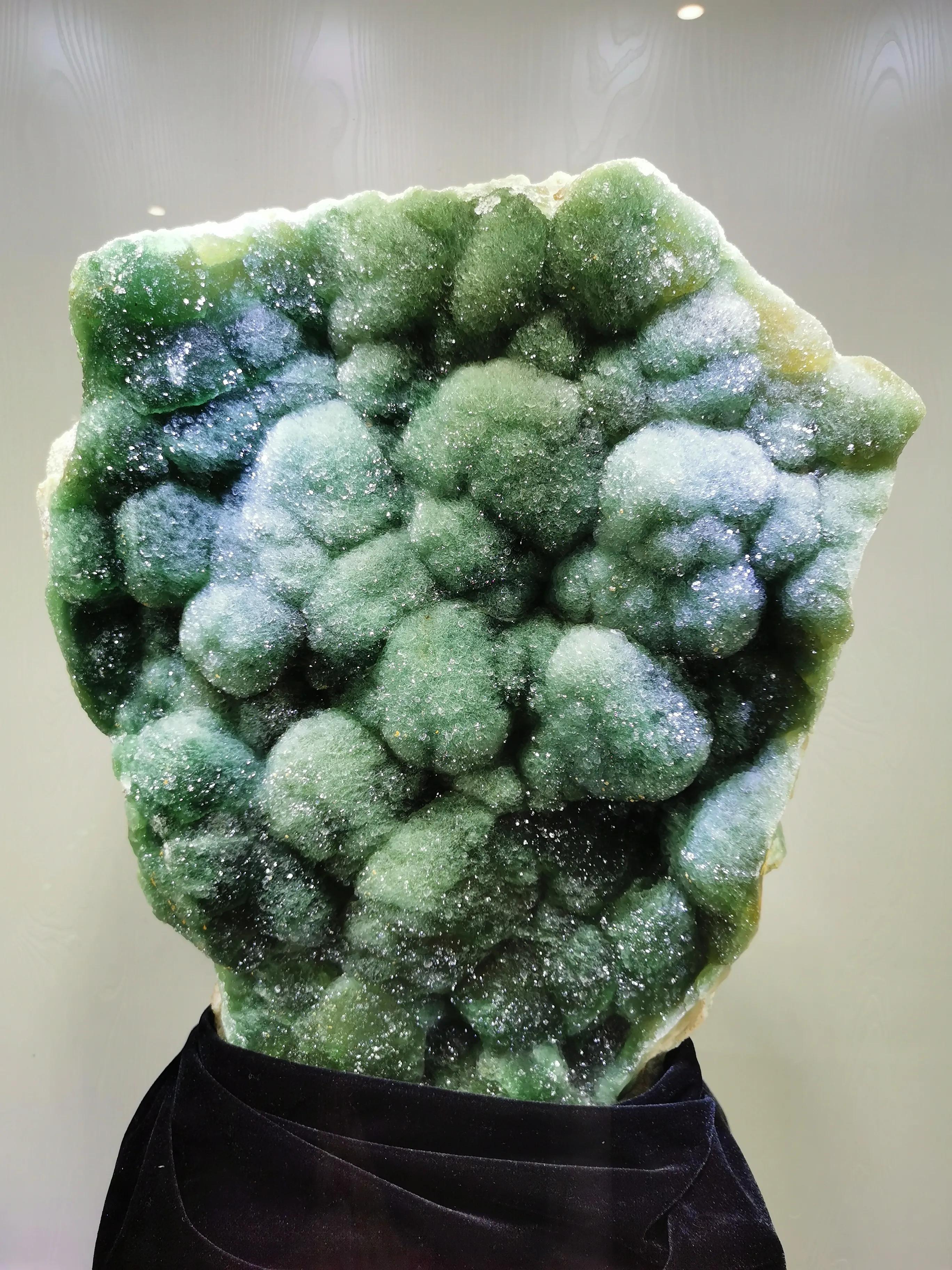 南京古生物博物馆开放时间及门票,南京古生物博物馆作文