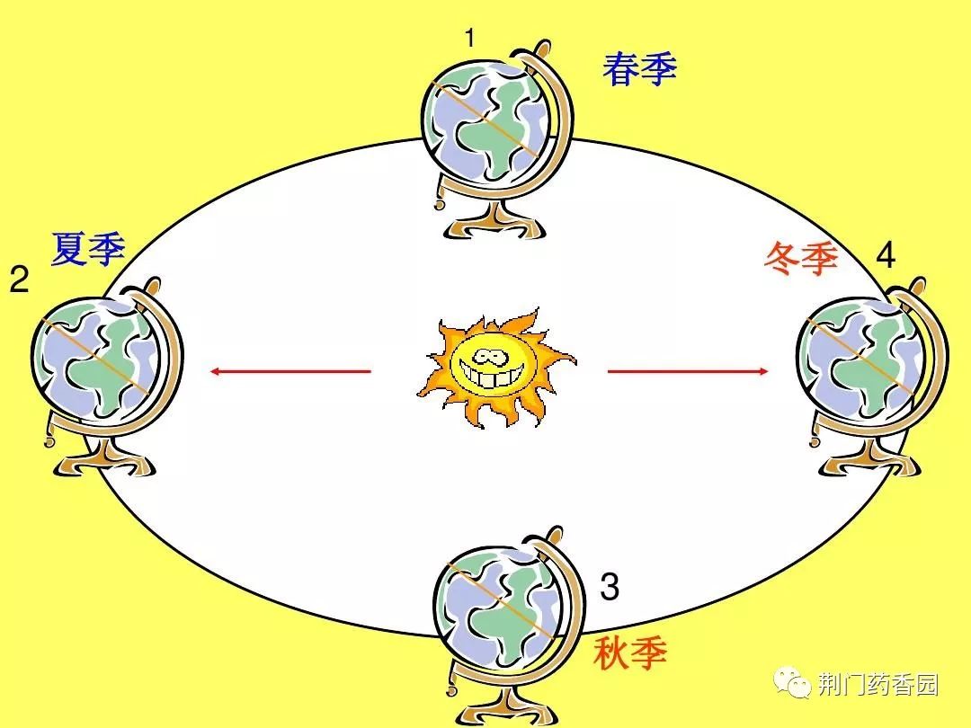 关于药品的养护怎么做,娇贵的药有哪些