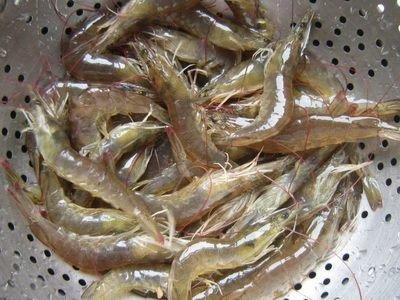 葱油小海虾怎么炸又脆又香酥,炸葱油海虾