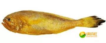 舟山4月份海鲜攻略,舟山海鲜代加工攻略