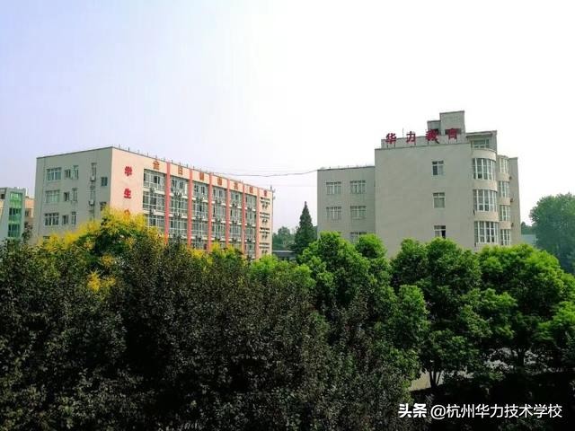 针式打印机维修保养哪家安全,针式打印机的日常维护有哪些