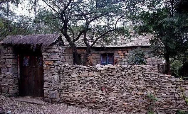 分享几个零投资的赚钱方法,分享2024年最赚钱的10个小项目