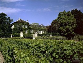 法国拉菲高档酒,法国拉菲酒庄