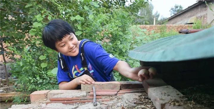 清北争夺王心仪,王心仪被清北争抢